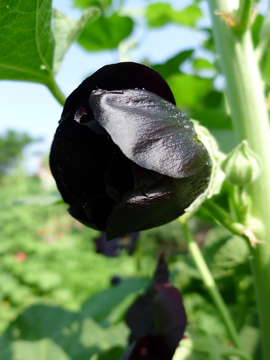 P2240257_调整大小.JPG