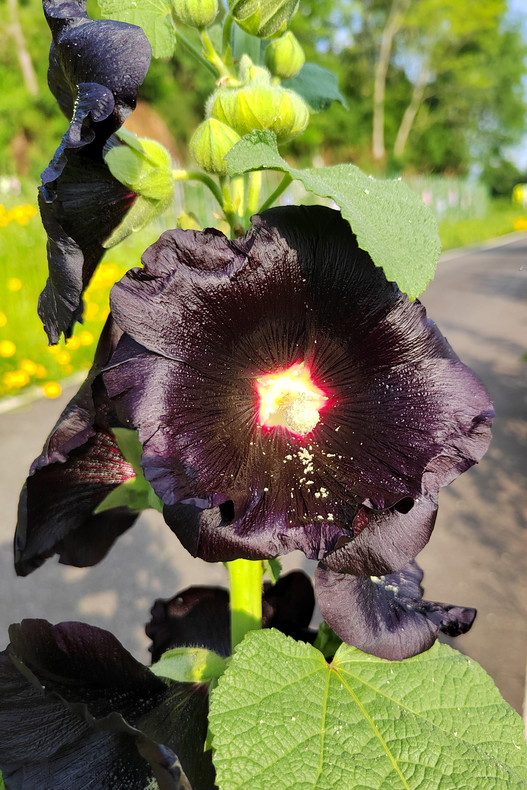 IMG_20220516_174130_调整大小.jpg