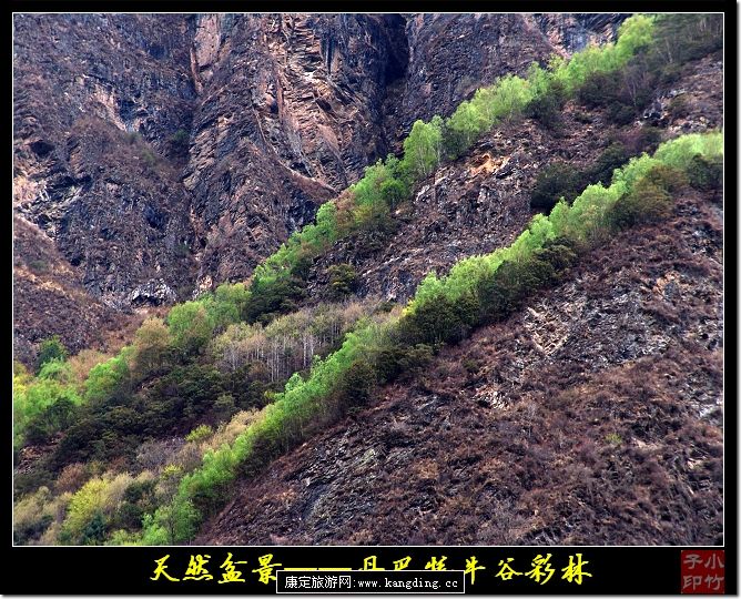 20080506_41dfc34a208ba85ef6f7L607G1HUqu9n.jpg