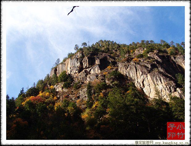 20080106_4ecc44272bca5595a721k5CVuUPjzJi7.jpg