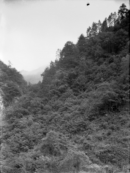 1908-06-21卧龙2_调整大小.jpg