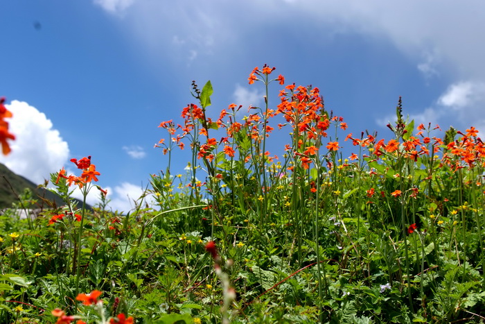 DSCF7273_调整大小.JPG