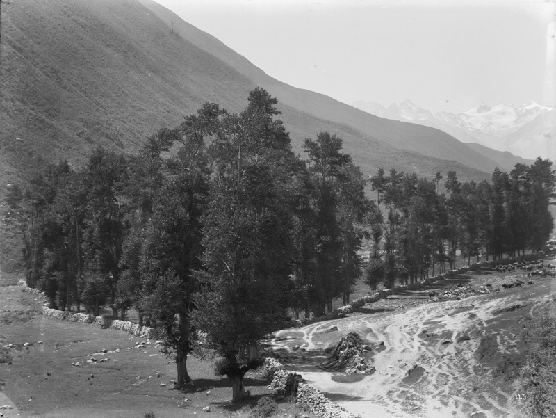 1908-07-24a_调整大小.jpg
