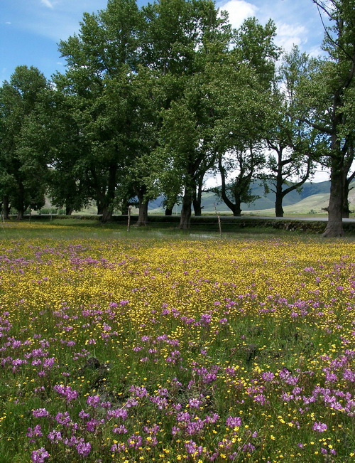 Re-exposure of 07040007_调整大小.JPG