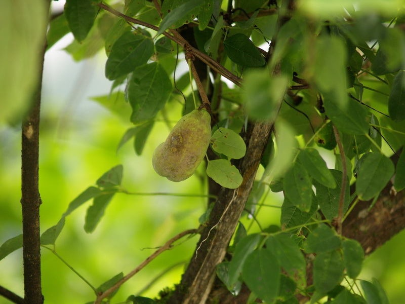 P8301811_调整大小.JPG
