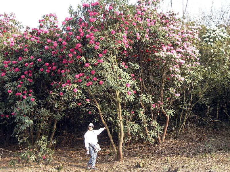 P3277940_调整大小.JPG