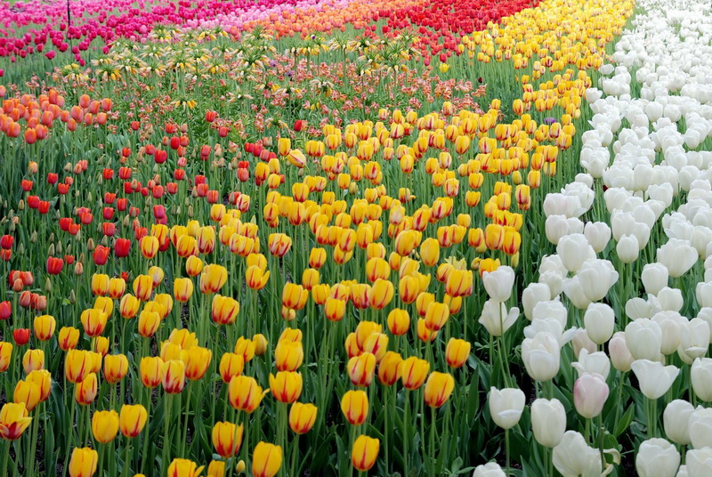 DSC_0019 (2)_调整大小.jpg