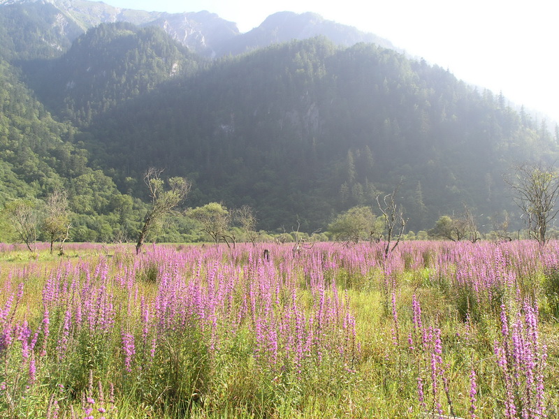 P8061990_调整大小.JPG