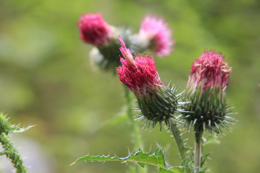 IMG_8159 3_调整大小.JPG