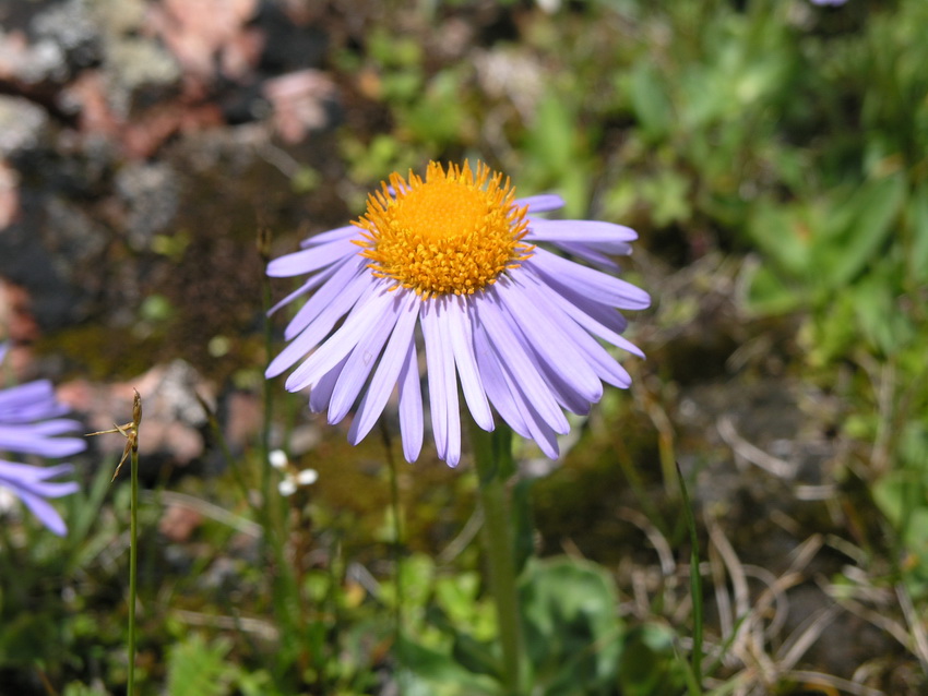 P6088280_调整大小.JPG