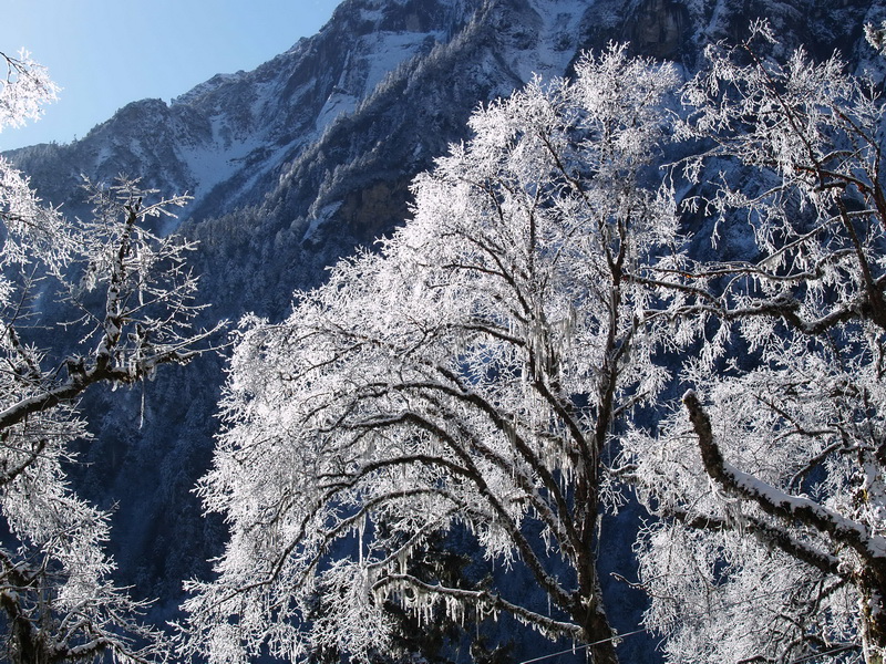 PC069371_调整大小.JPG