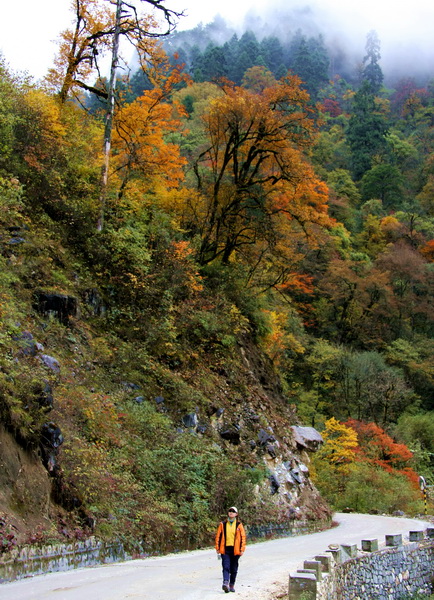 IMG_3024_调整大小.JPG