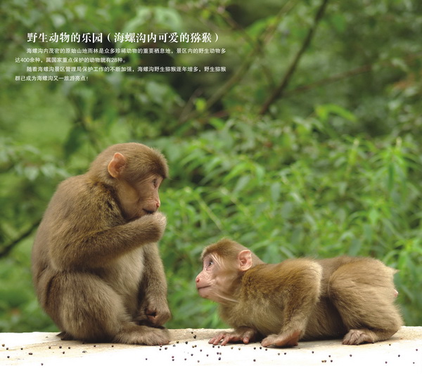 17_调整大小.jpg