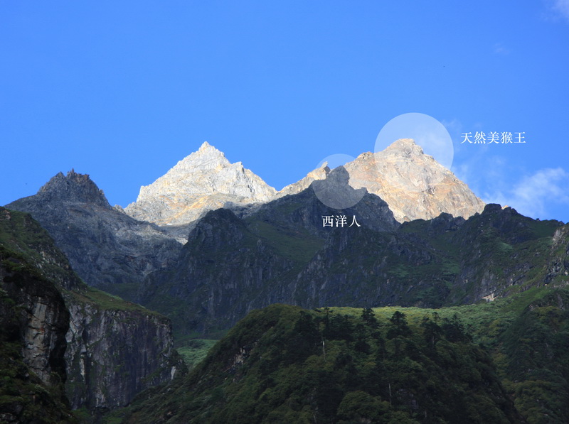 IMG_2949_调整大小.jpg