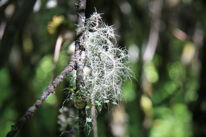 IMG_2210_调整大小.JPG