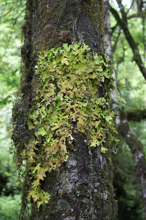 IMG_5057_调整大小.jpg