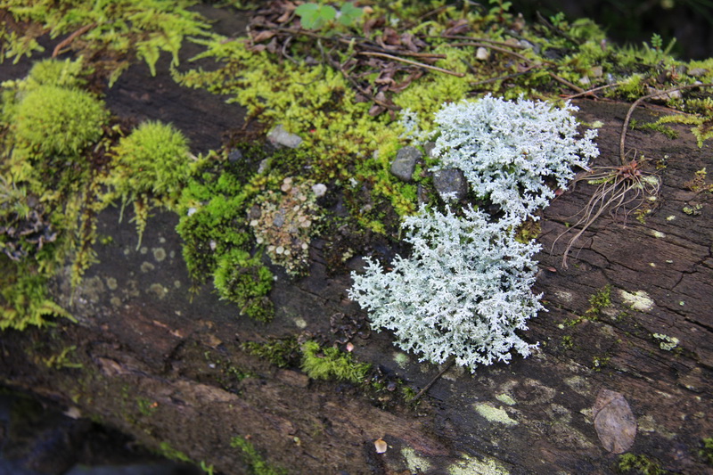 IMG_8908_调整大小.JPG