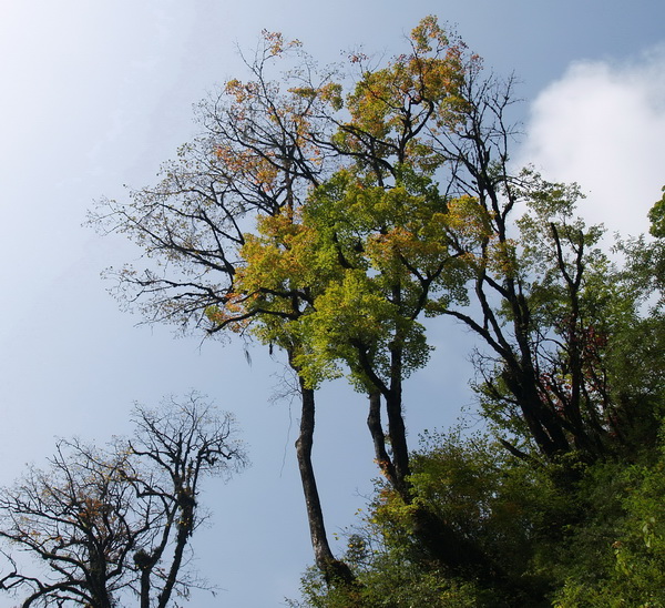 P9269912_调整大小.JPG