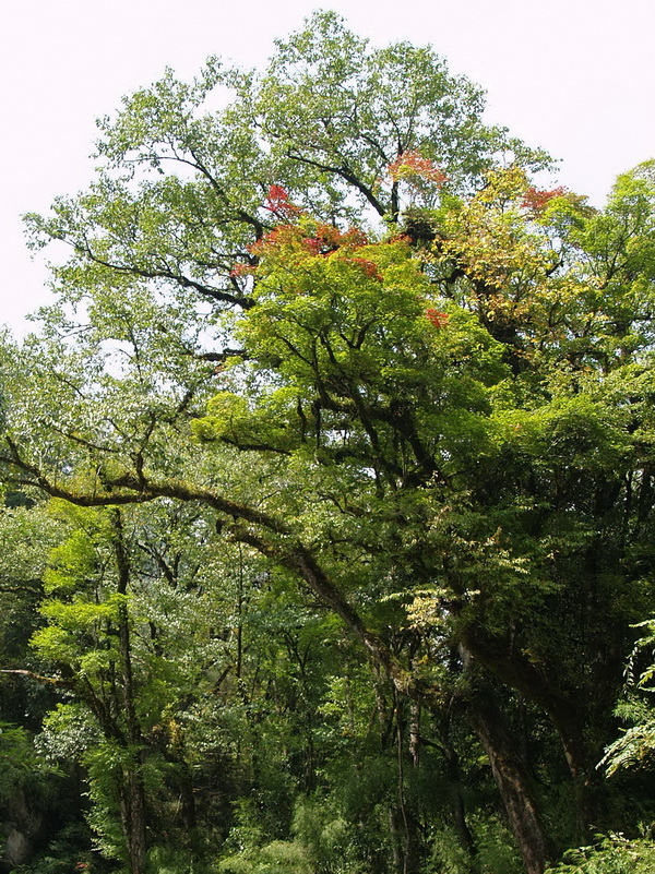 P9260119_调整大小.JPG