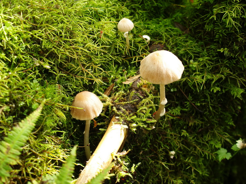 P9156359_调整大小.JPG