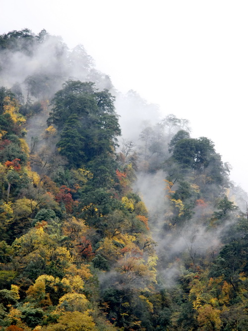 IMG_2511_调整大小.JPG