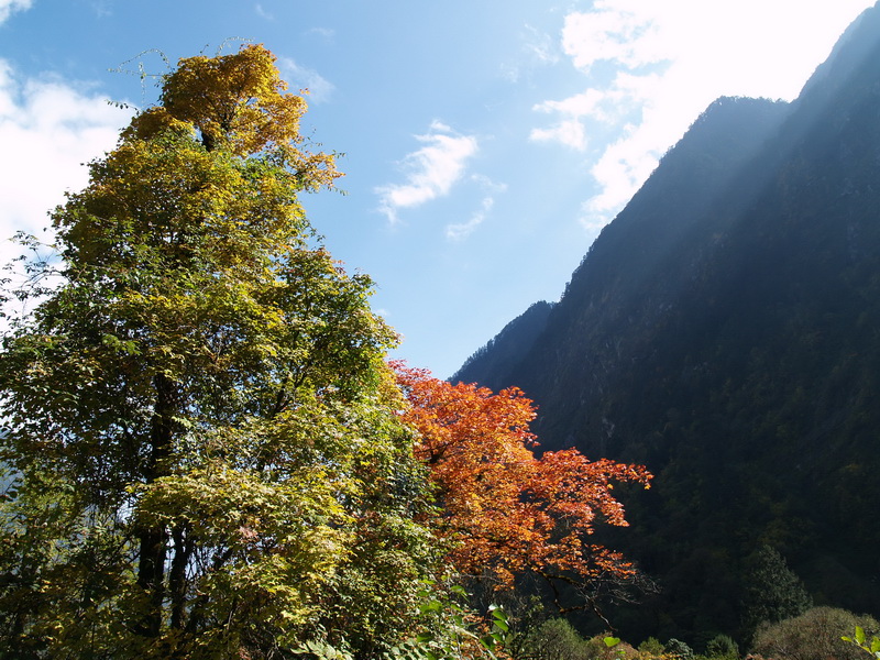 PA255527_调整大小.JPG