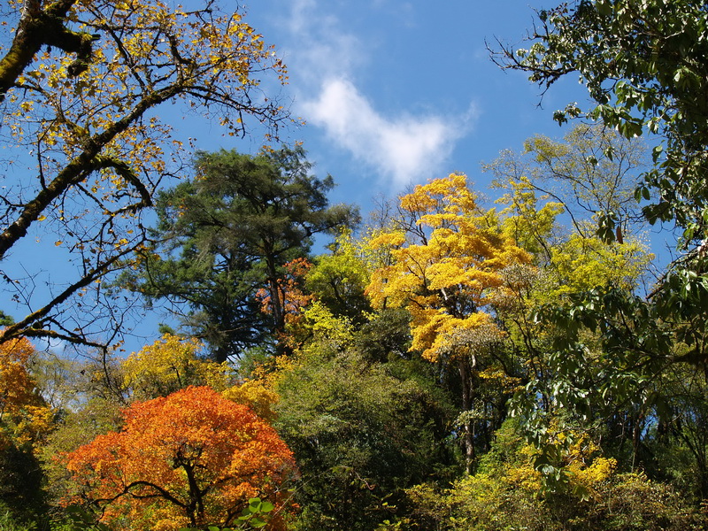 PA255587_调整大小.JPG