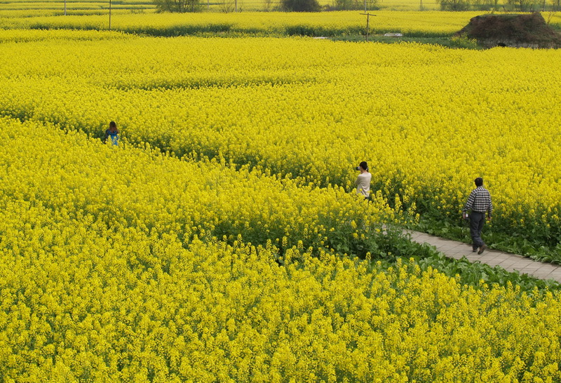 P3257281_调整大小.JPG