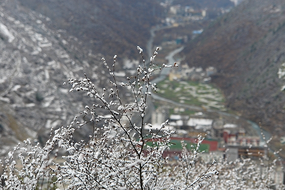 DSC08518.jpg