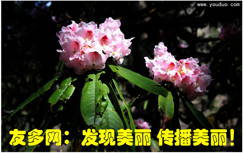 6_调整大小.jpg