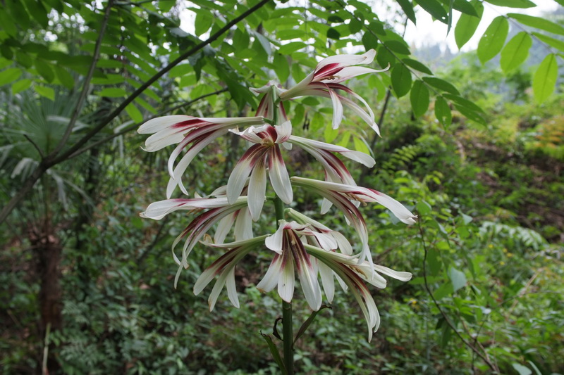 DSCF4910_调整大小.JPG