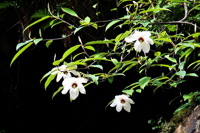 IMG_6089_调整大小.jpg