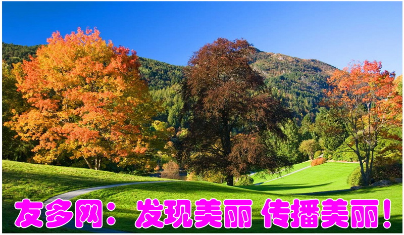 3269_调整大小.jpg