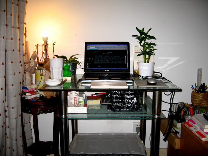 IMG_9522_调整大小.JPG
