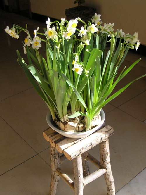 P1288389_调整大小.JPG