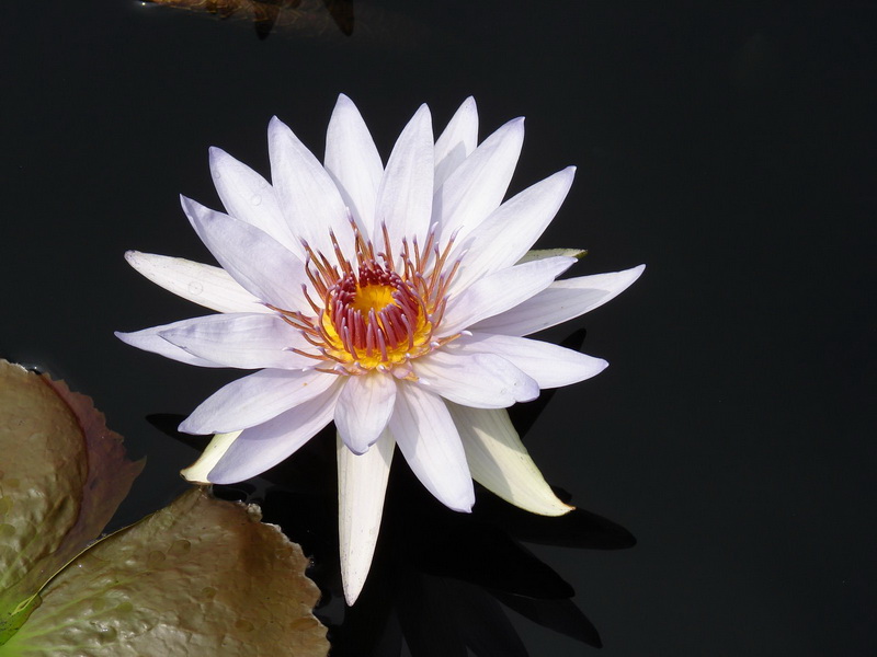 DSC06782_调整大小.JPG