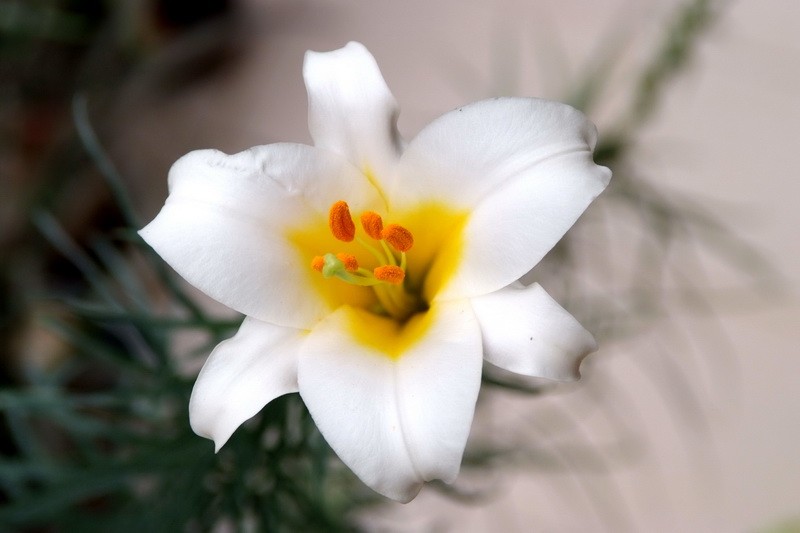 DSCF5669_调整大小.JPG