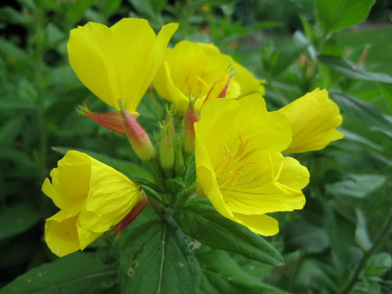 IMG_0383_调整大小.JPG