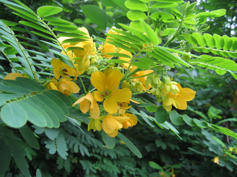 IMG_1230_调整大小.JPG