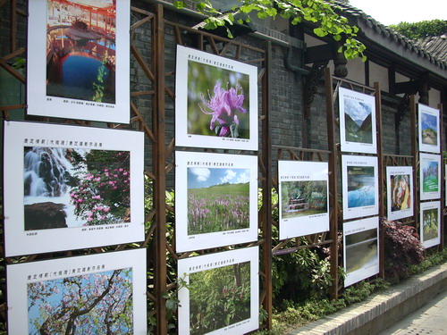 20110426064351823.jpg
