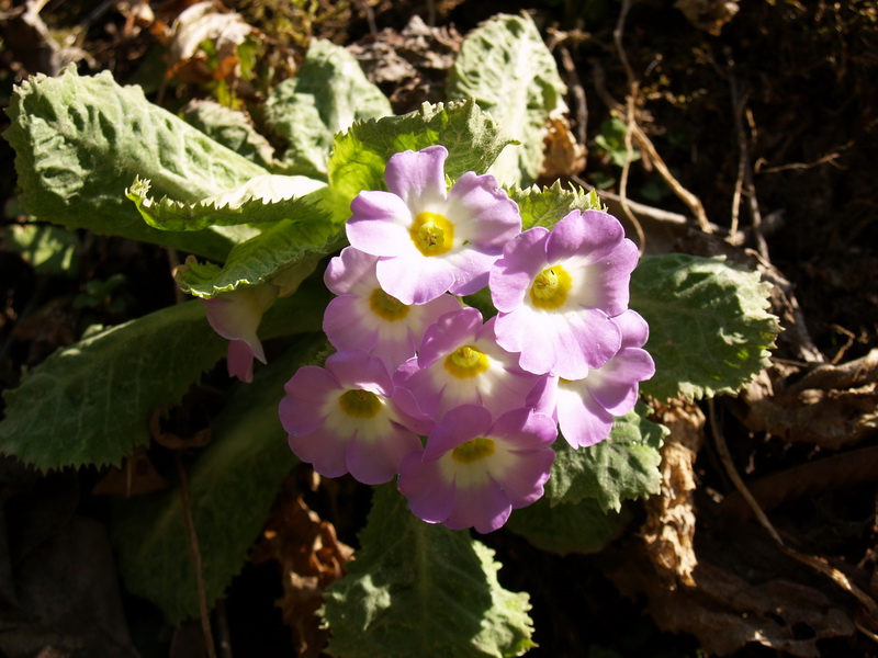 P3154352_调整大小.JPG