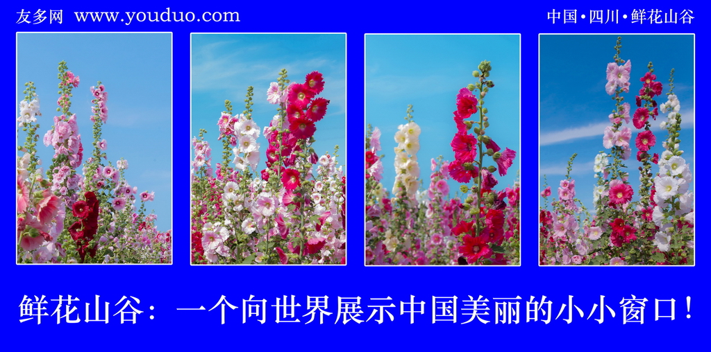 1_调整大小.jpg