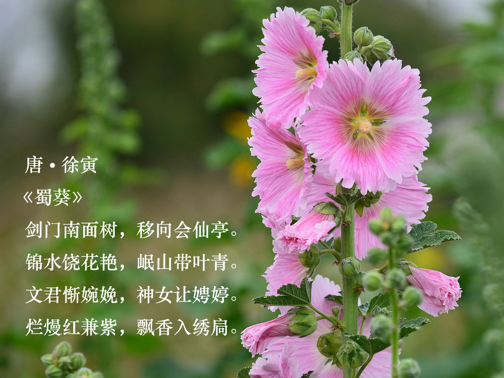 7_调整大小.jpg