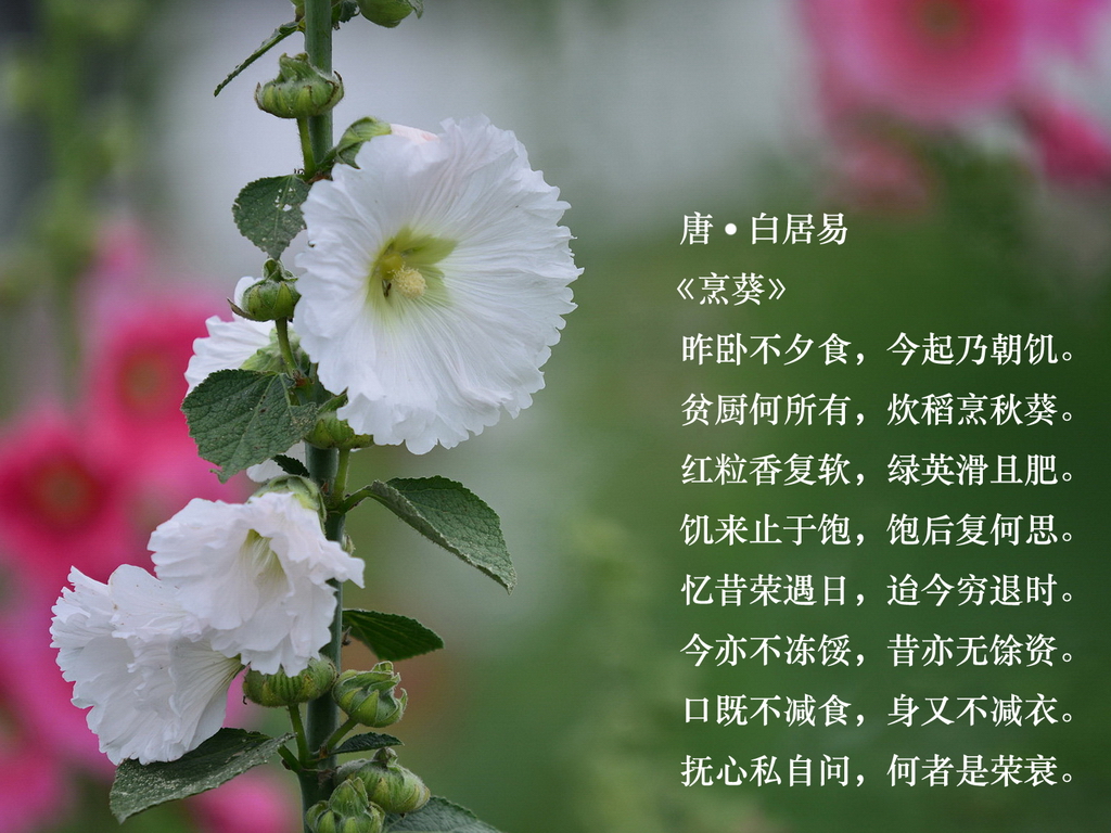 3_调整大小.jpg