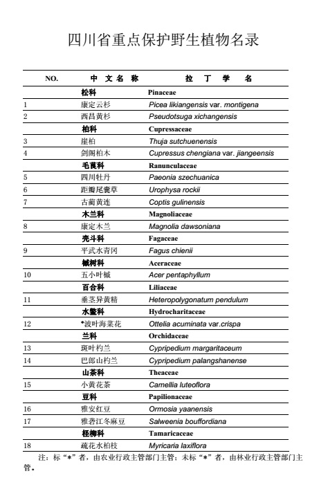 剪辑.jpg