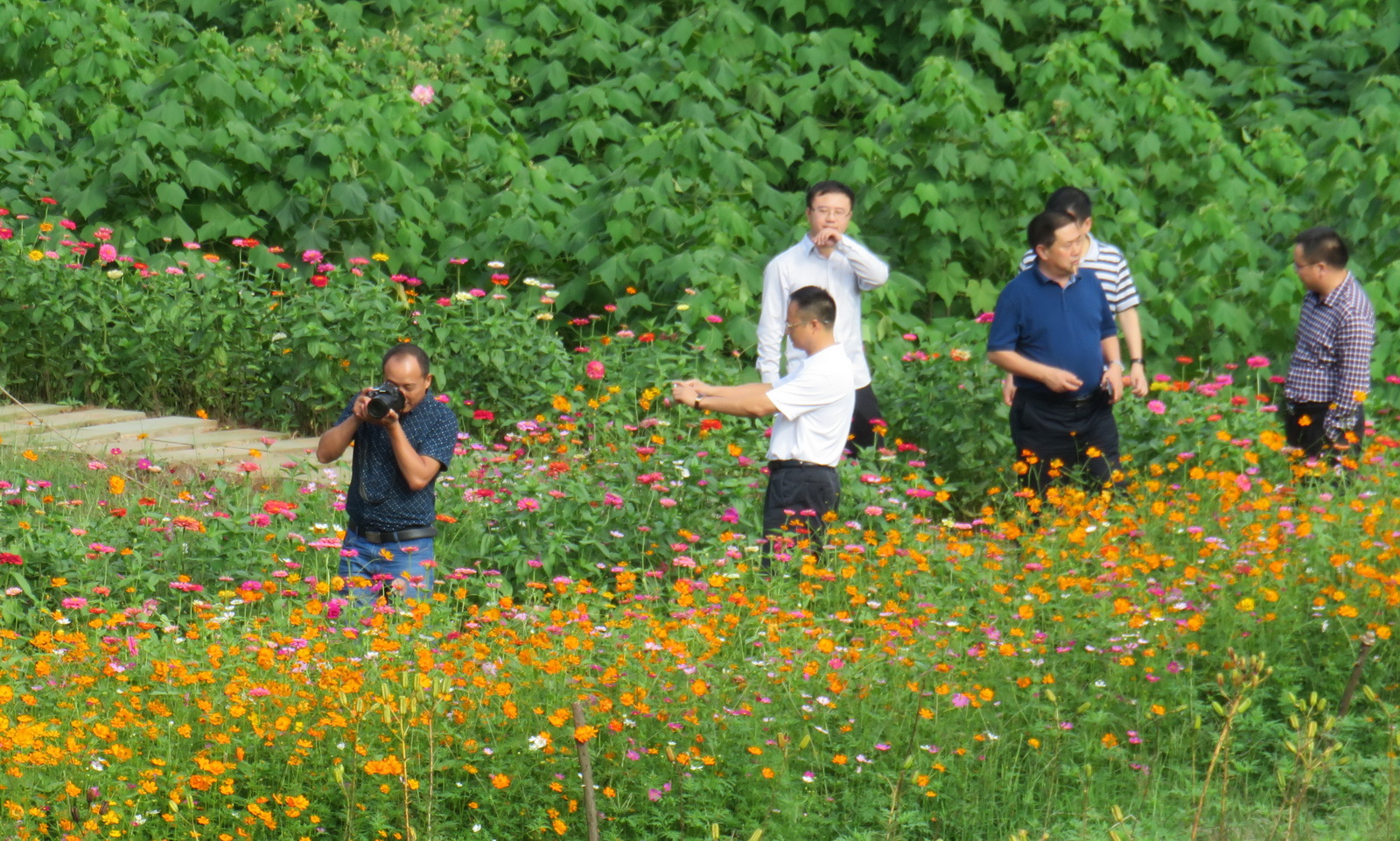 IMG_5847_调整大小.JPG