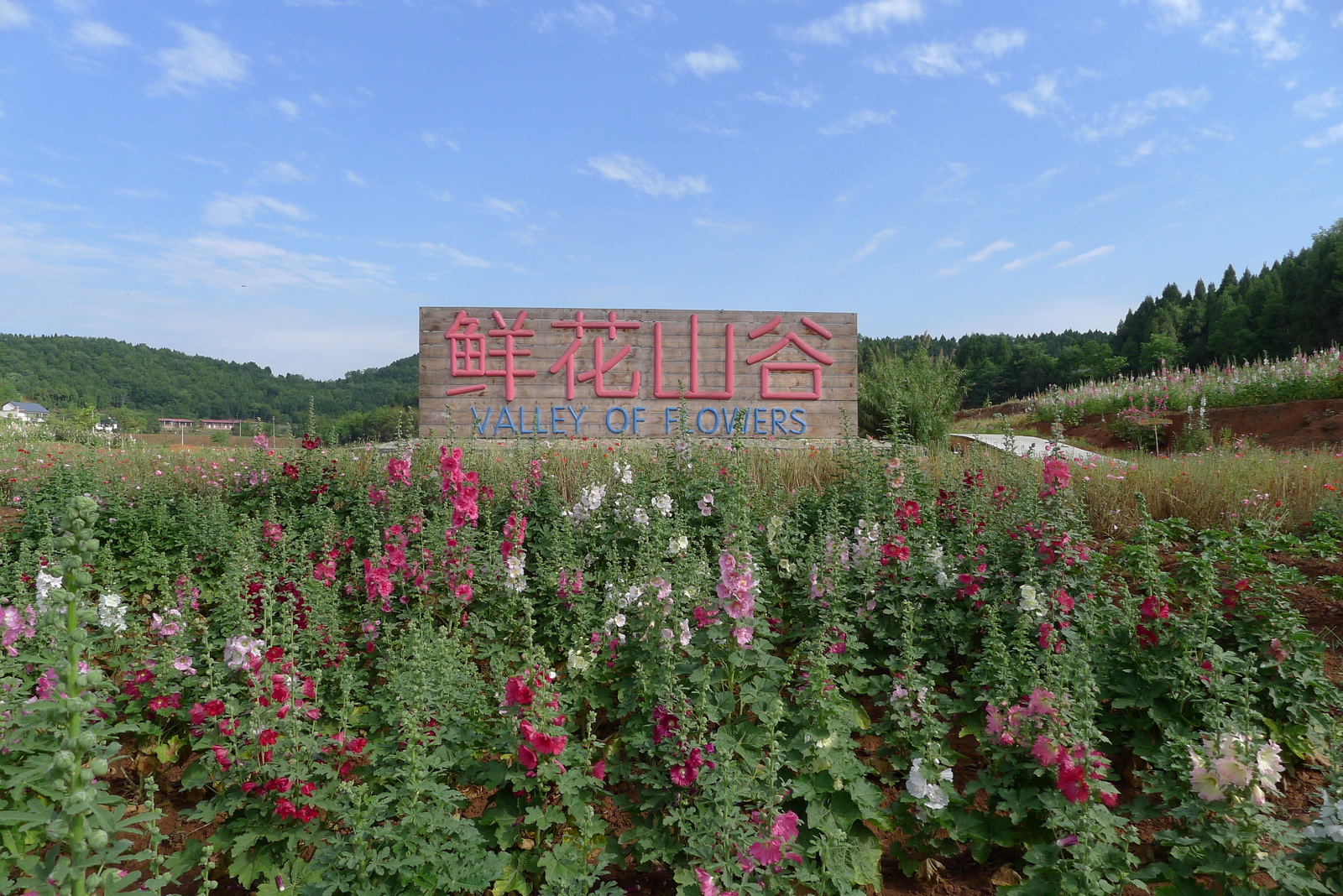 P1570573_调整大小.JPG