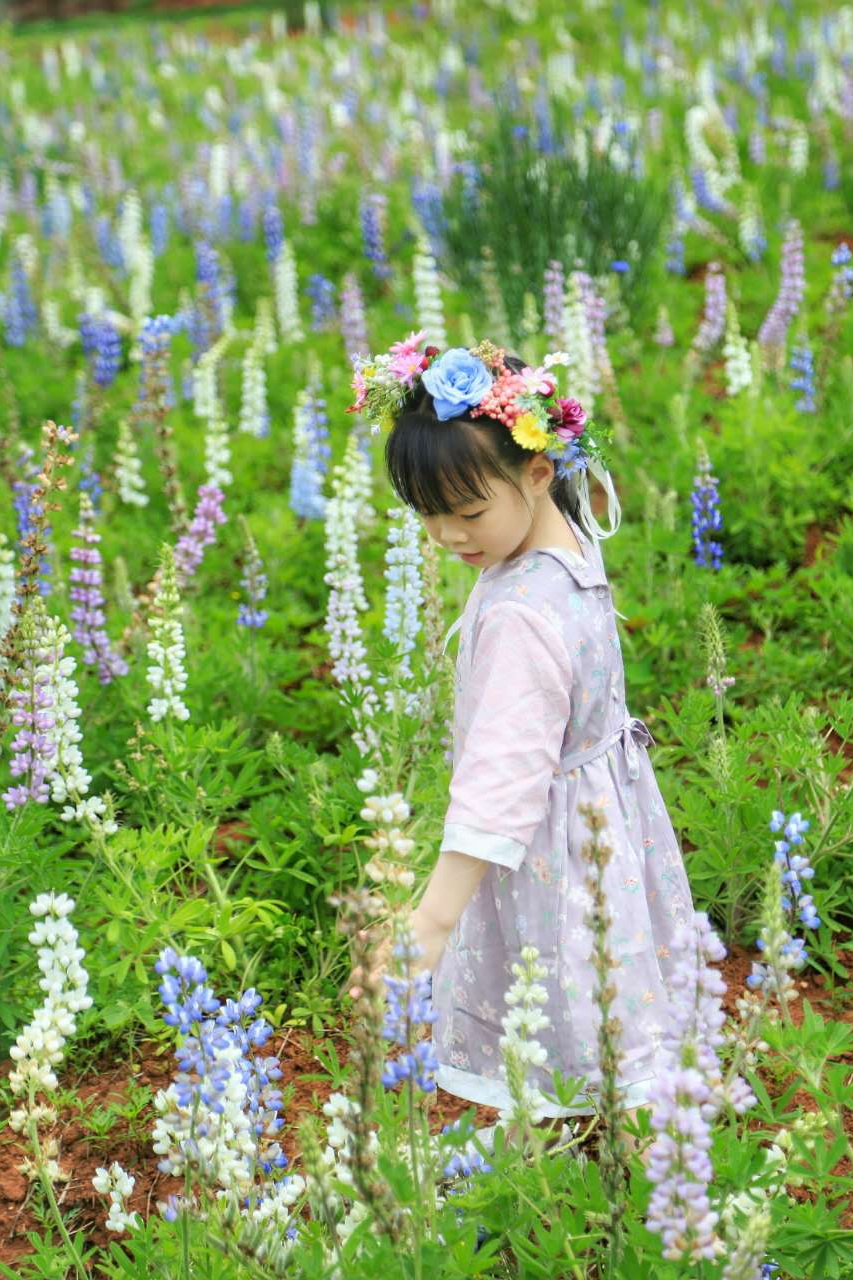 鲜花山谷_20170430_085129.jpg
