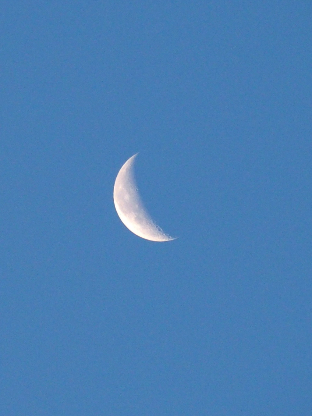 P1110003.JPG